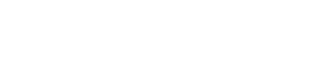 Viesso Logo